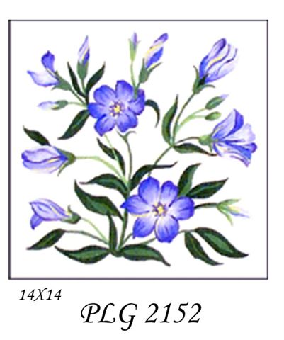 PLG 2152  BLUEBELLS