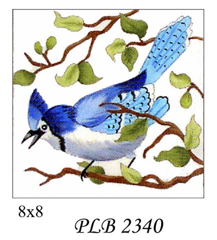 PLB 2340  BLUE JAY