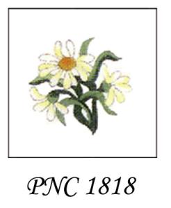 PNC 1818   DAISY