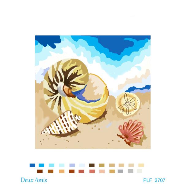 PLF  2707   Nautilus, Scallop, Shells on Shore