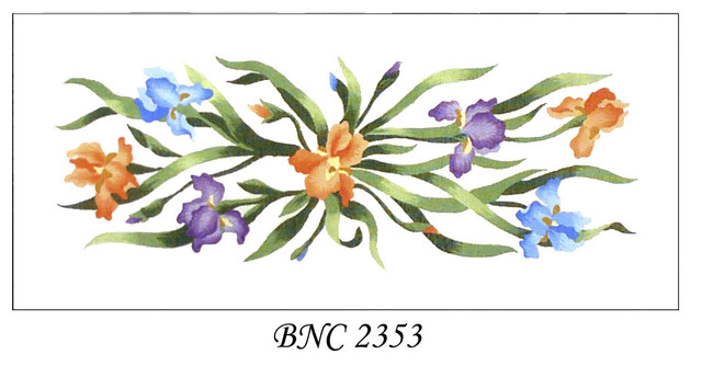 BNC 2353    IRIS