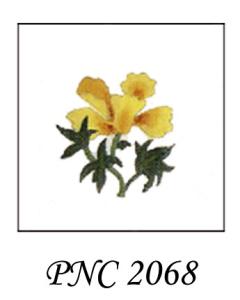 LUS 2068  GOLDEN POPPY