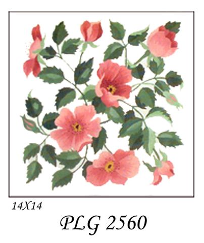 PLG 2560  WILD ROSES