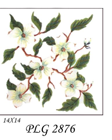 PLG 2876  DOGWOOD