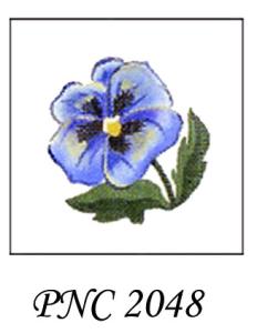 PNC 2048  BLUE PANSY