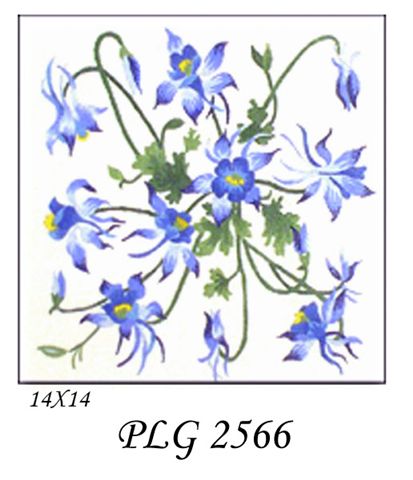 PLG 2566  COLUMBINE