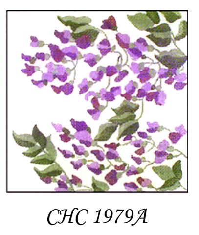 CHC 1979   WISTERIA