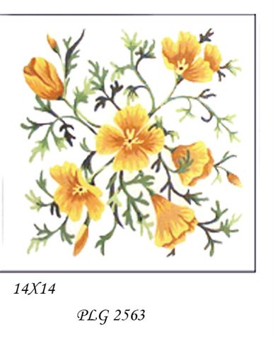 PLG 2563  GOLDEN POPPIES