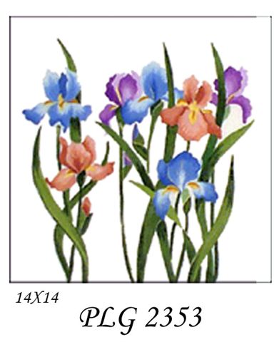 PLG 2353   IRIS GARDEN 14x14