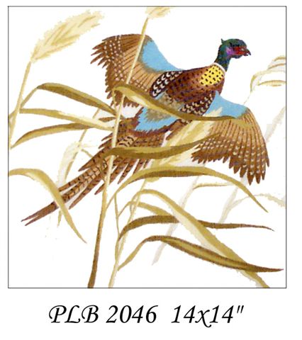 PLB 2046 14X14 RINK NECK PHEASANT