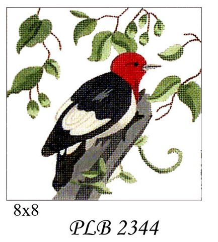 PLB 2344  WOODPECKER