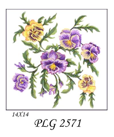 PLG 2571  PANSIES