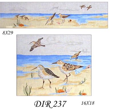 DIR 237  SANDPIPERS