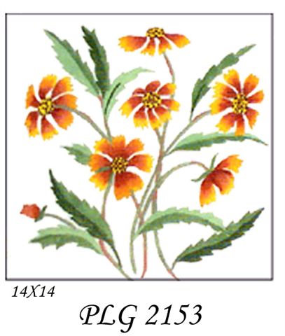 PLA 2153  INDIAN BLANKET 14x14