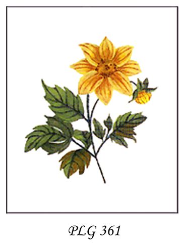 PLG 361  YELLOW DAHLIA