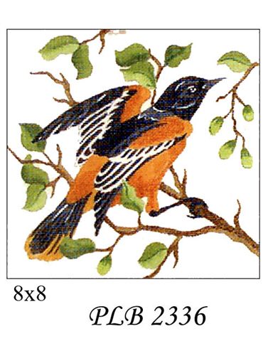 PLB 2336  BALTIMORE ORIOLE