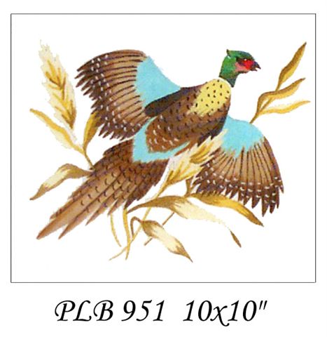 PLB 951 RING NECK PHEASANT 10X10