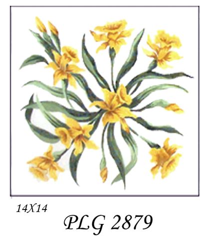 PLG 2879  DAFFODILS