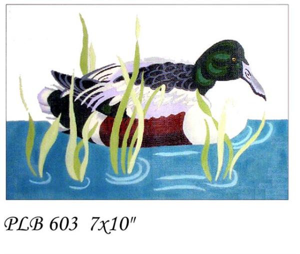 PLB 603 SHOVELER DUCK