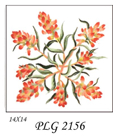 PLG 2156  INDIAN PAINTBRUSH