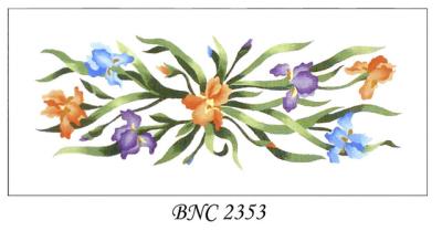 BNC 2353    IRIS