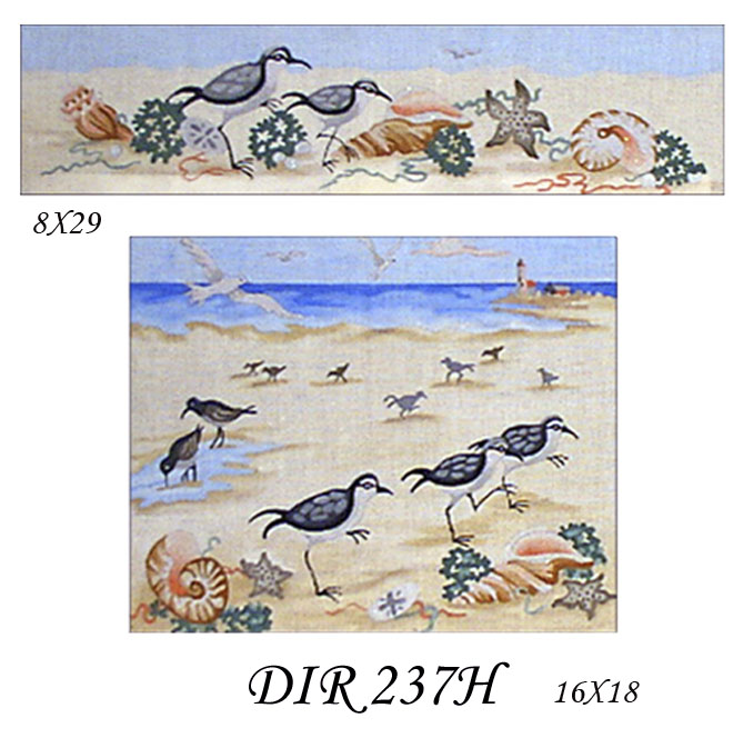 DIR 237H  SHOREBIRDS