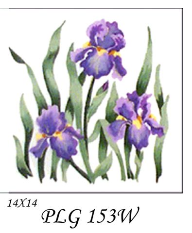 PLG 153W     PURPLE IRIS