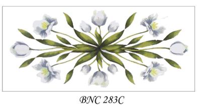 BNC 283 C   WHITE TULIPS
