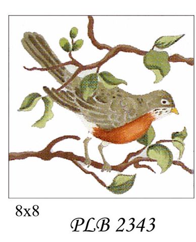 PLB 2343  ROBIN