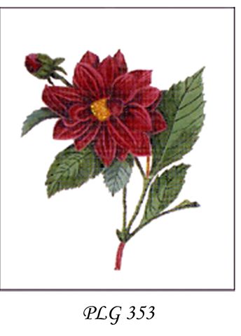 PLG 353  RED DAHLIA