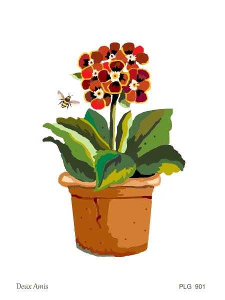 PLG  901  POTTED PRIMULA    12"