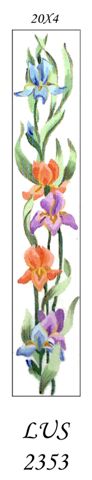 LUS 2353  IRIS GARDEN